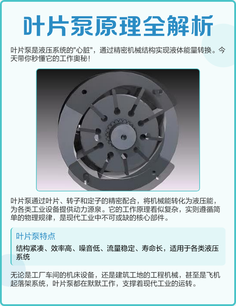 叶片泵